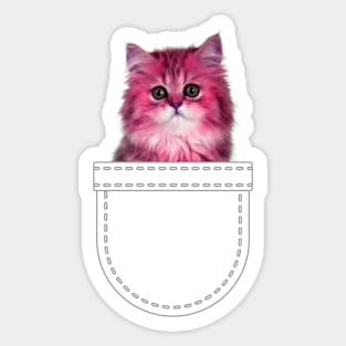 Pink kitten in pocket Sticker